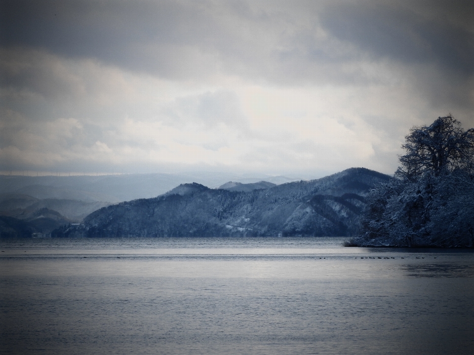 風景 海 海岸 水