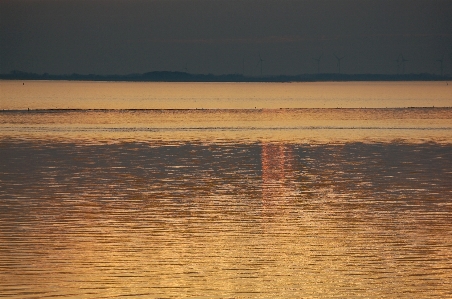 Beach sea coast sand Photo