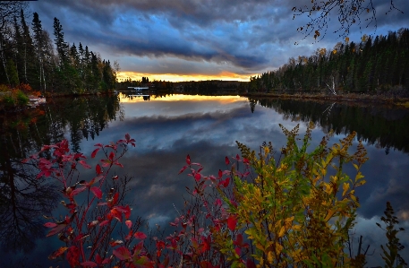 Landscape tree water nature Photo