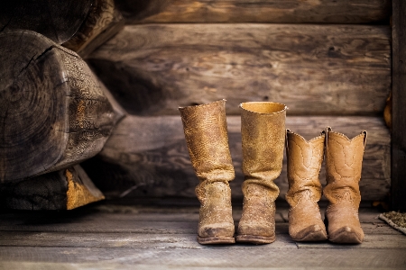 Wood wall rustic still life Photo