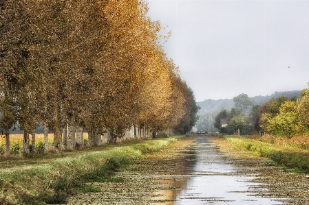 Landscape tree water nature Photo