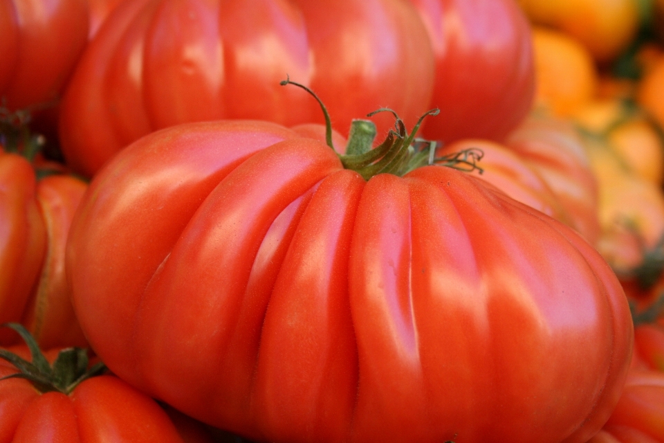 植物 フルーツ 花 食べ物