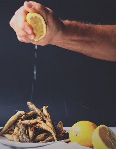 Hand plant fruit flower Photo