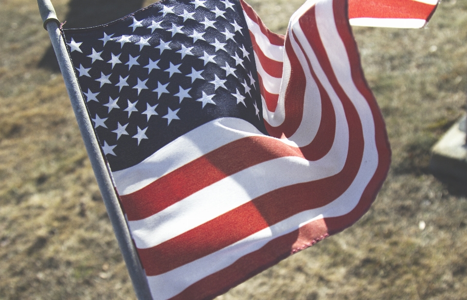 Rojo bandera estadounidense
 estados unidos de américa
