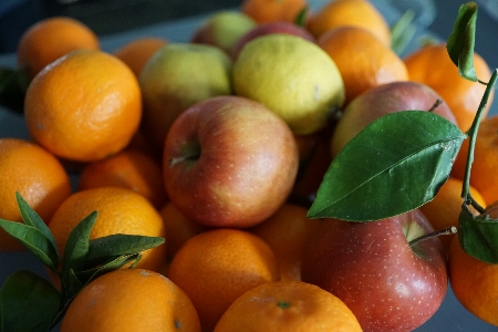 Apple anlage frucht blatt Foto