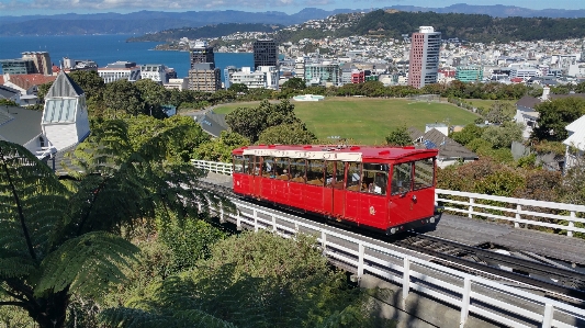 Track town train tram Photo