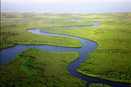 Landscape water marsh swamp Photo