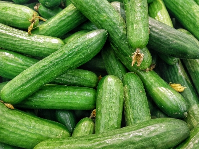 Plant food green produce Photo