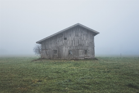 Landscape grass outdoor fog Photo