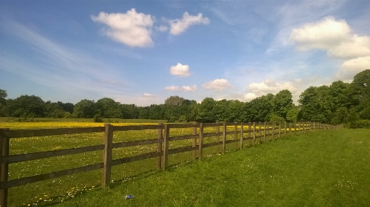 Landscape grass fence sky Photo