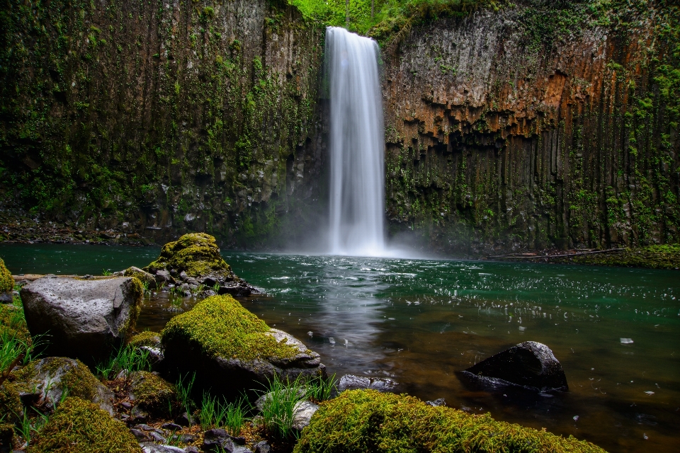 Landscape water nature forest