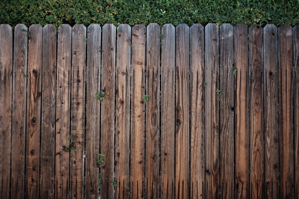 Zaun holz boden wand