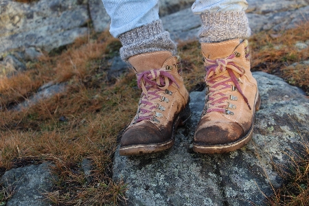 Natur gras schuh winter Foto