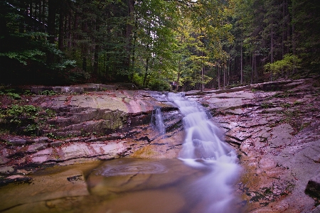 Landscape tree water nature Photo