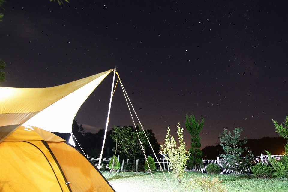 Night star camping screenshot