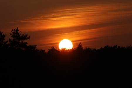 Foto Horizonte luz nuvem céu