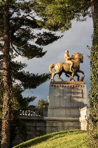 Foto Pohon musim dingin menjembatani monumen