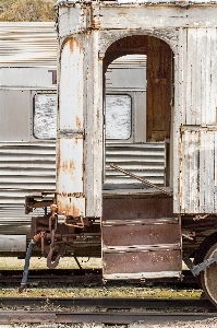 木 追跡 鉄道 白 写真