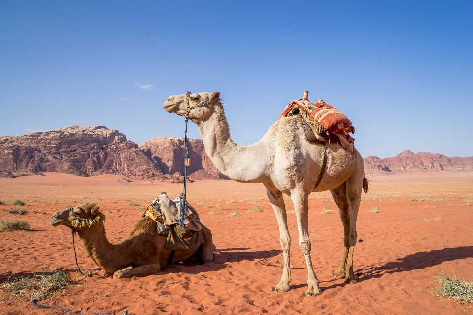 Paesaggio sabbia deserto viaggio