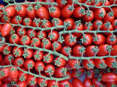 Plant fruit flower food Photo