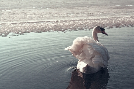 Landscape sea water nature Photo