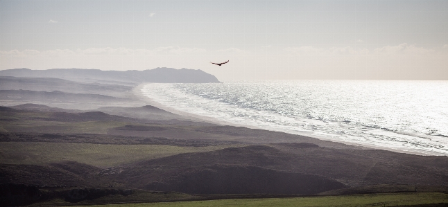 Beach landscape sea coast Photo