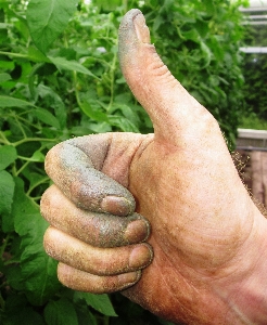 Hand flower finger green Photo