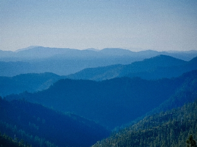 Landscape nature forest outdoor Photo