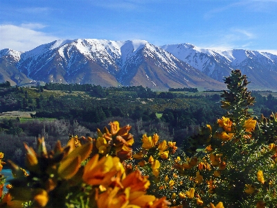 Foto Paisaje árbol naturaleza exterior