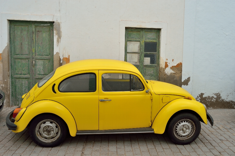 Landschaft auto rad volkswagen
