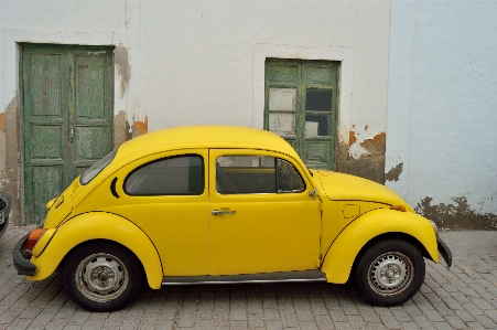 Landscape car wheel volkswagen Photo