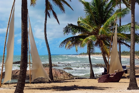 Beach landscape sea coast Photo