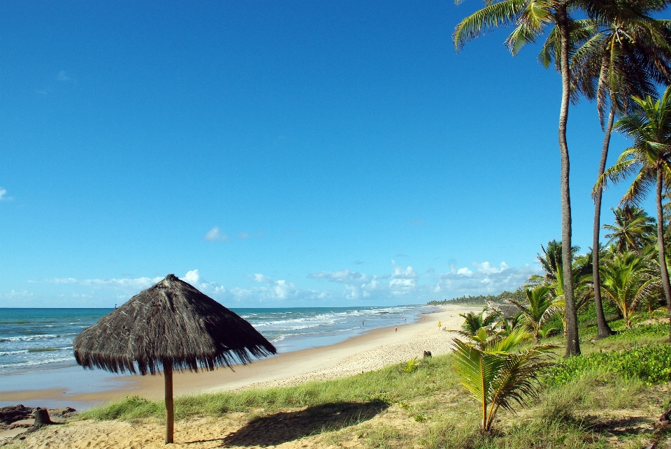 Pantai lanskap laut pesisir