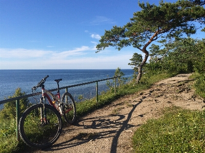 Beach sea coast trail Photo