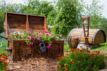 Architecture farm lawn flower Photo