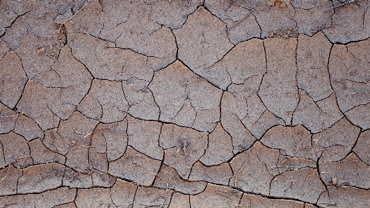 Rock grungy ground texture Photo