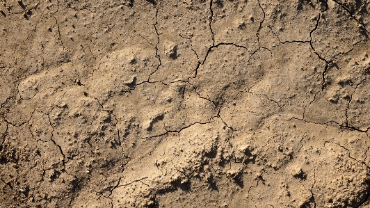 Rock ground texture wall Photo