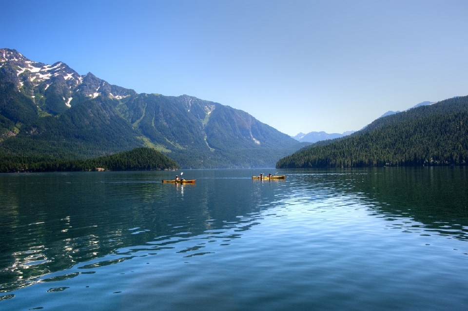 Landschaft wasser natur wald