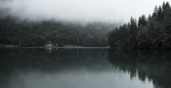 Landscape tree water nature Photo