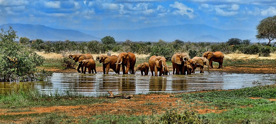 Paesaggio natura selvaggia
 animali selvatici