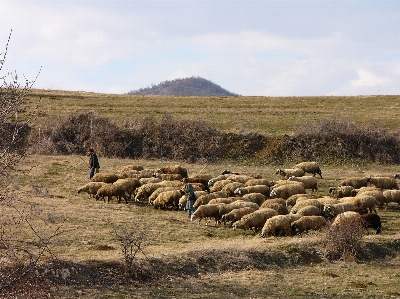 Nature mountain hiking field Photo