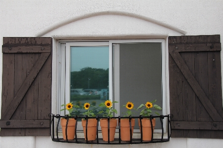 Wood window home wall Photo