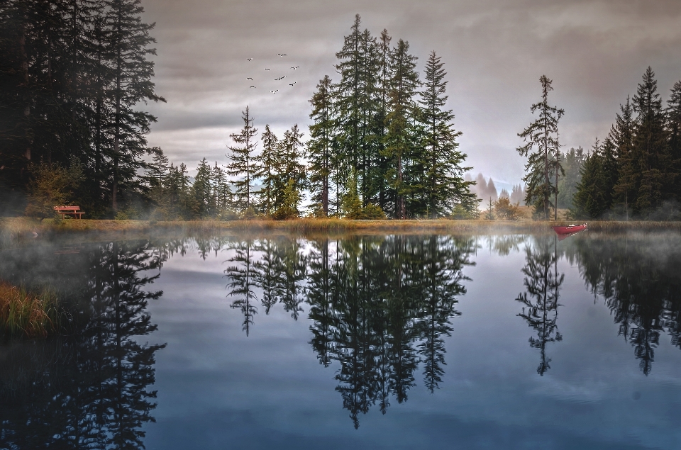 Paisagem árvore água natureza