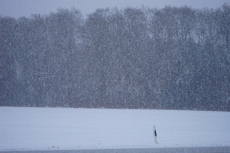 Landscape snow cold winter Photo