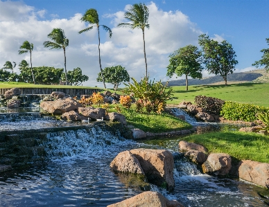 Foto Paisaje árbol agua naturaleza