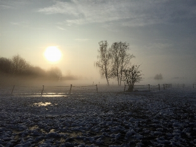 Sea grass horizon snow Photo