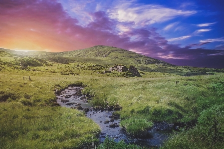 Landscape water nature grass Photo