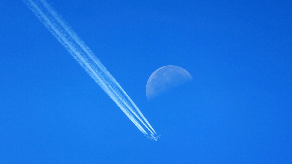 翅膀 天空 空气 飞行