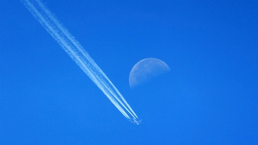 Foto Ala cielo aria volare