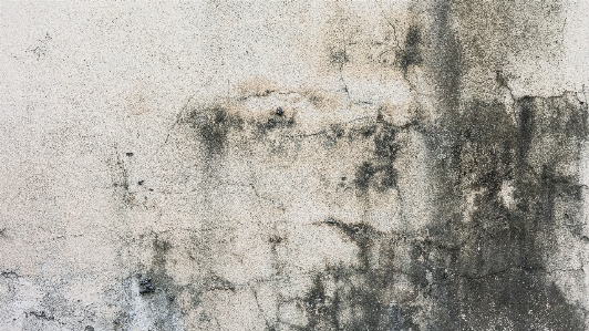 Grungy texture wall crack Photo